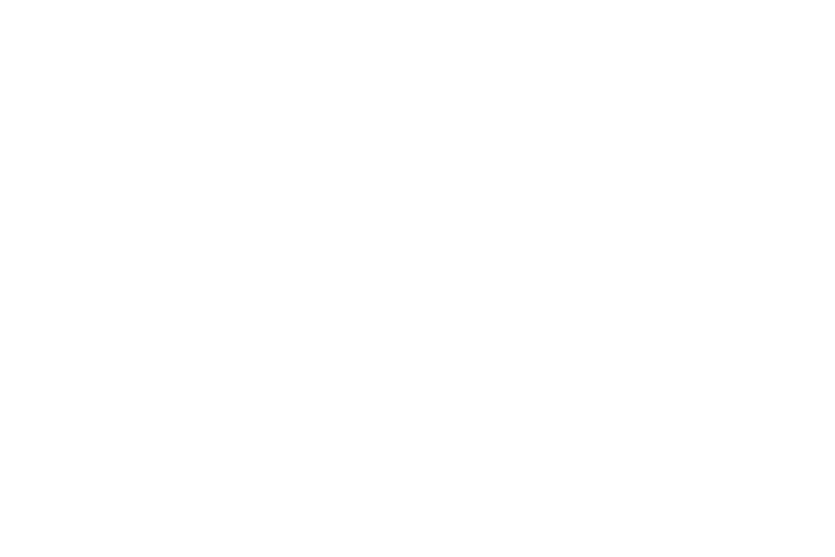 University Alpine Jogger